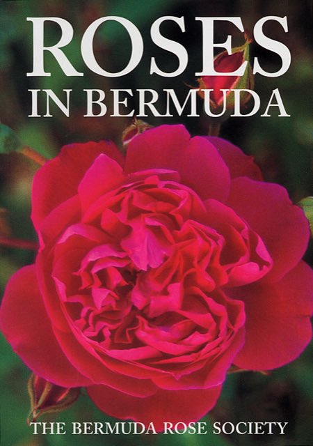 brimstonebda's tweet photo. Celebrating #WorldBookDay2020 with a toast to a few of our favourite #Bermuda projects. Kudos to all the heritage groups, historians, curators, photographers, artists &amp; authors for their collective talents &amp; collaboration https://t.co/UtPyx9k4ci