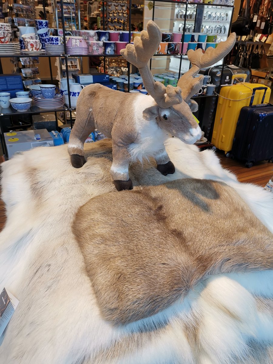 It's snowing in Stockholm....