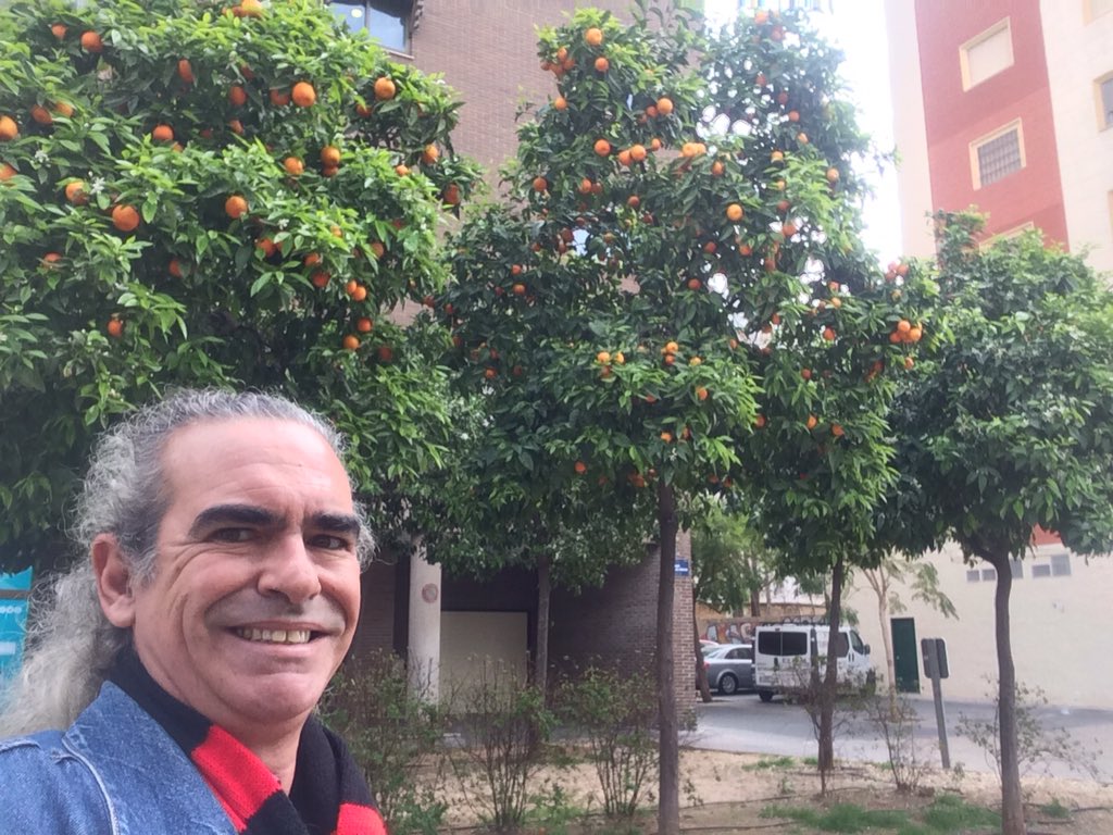 chefPacoOrtola's tweet photo. Semana que vem estarei aí #mascleta5 #falla2020 #Valencia 🇧🇷 https://t.co/FgZjZPK8Ax