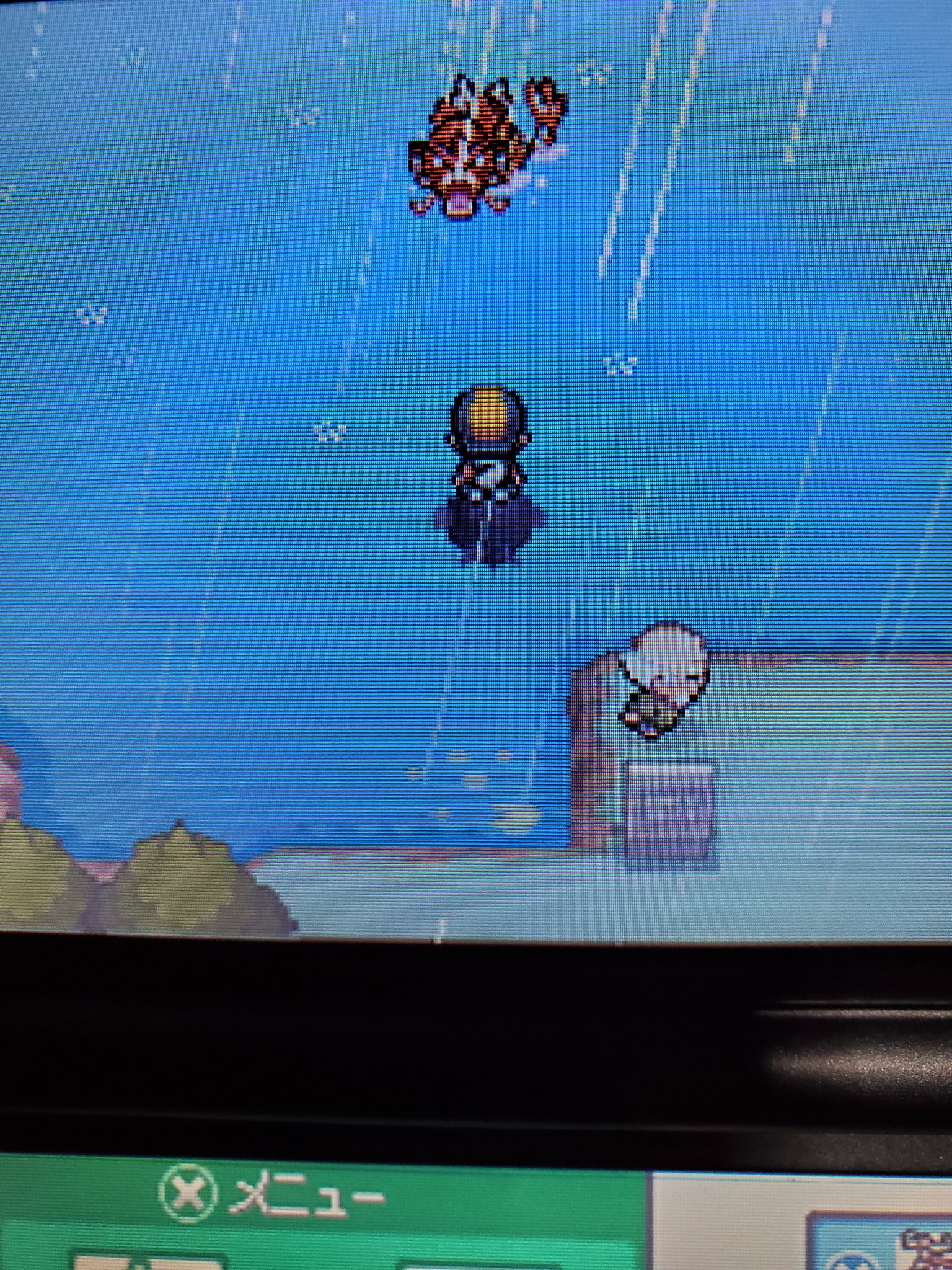 ハートゴールドソウルシルバー Twitter Search Twitter