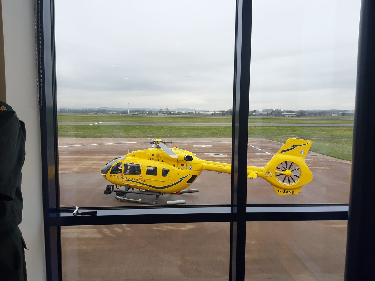 Frances Dodd tweet media