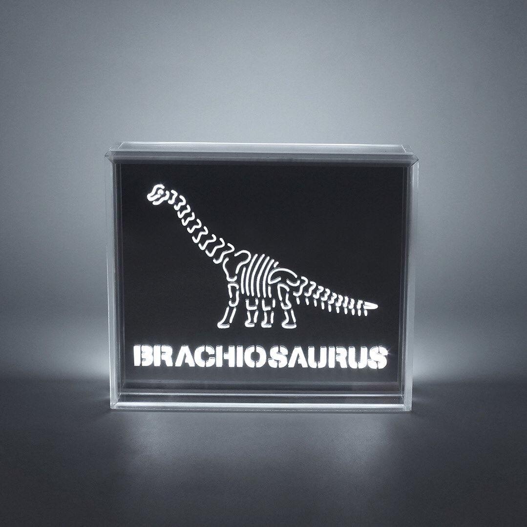 New Dino Acrylic Box LED 
Learn the layout of dinosaur skeletons with 6 interchangeable slides! 

 #dinosaur #dino #skeleton #london #londonneon #neonlondon #ukneon #showroom #neons #gifts #lighting #lights