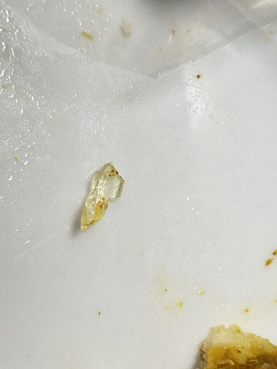 ntolmay's tweet photo. @WOOLWORTHS_SA As a loyal fan this is upsetting and unacceptable to find a sharp piece if glass in my lunch today. How is this possible? I sent a complaint email. #Disappointed https://t.co/isrCSEnNv1