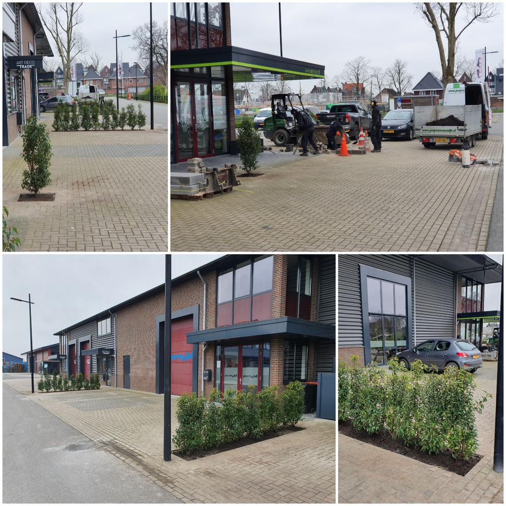 Veeeeel meer groen☘🌱 aanbrengen op de Bull.  🌴🍃 Met dank aan Hoveniersbedrijf van Reeuwijk B.V. #hetwordtsteedsgroeneropdeBull 😀🌿🌳