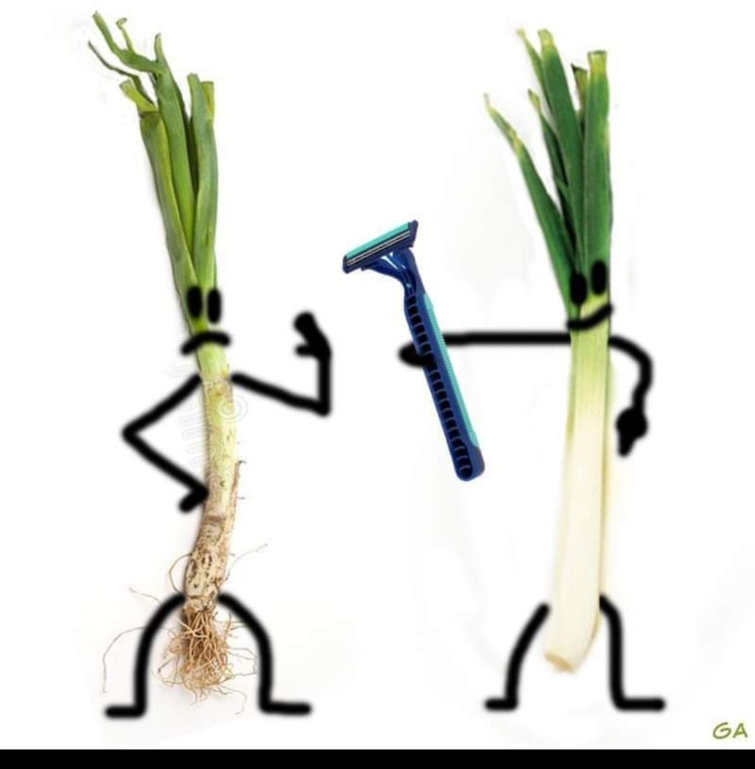 Calçots shave advice...

Not yet....maybe in the future #calçots #shavetime #transmen #ftm #behairier or #notbehairier #hairier