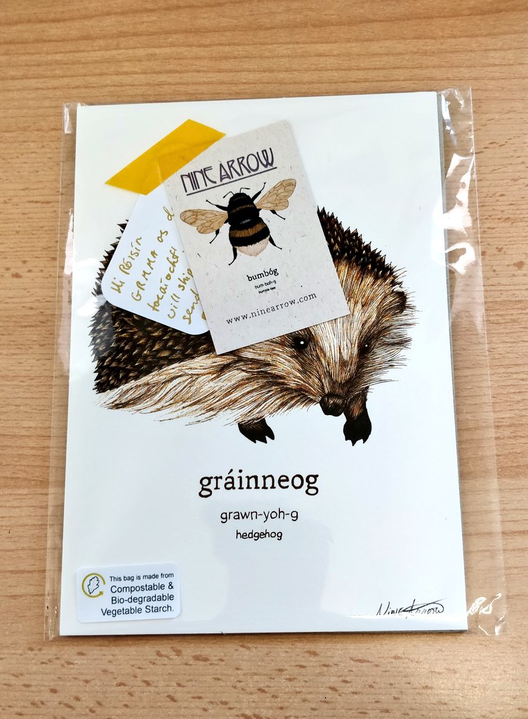 Fuair mé é seo ar maidin ó <a href="/ninearrowART/">Catherine Geaney</a>

Nach bhfuil sé go hálainn? 😍