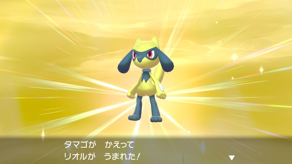 しんすけ リオルの色違いでた ポケモン剣盾 Nintendoswitch しんすけ リオルの色違いでた ポケモン剣盾 Nintendoswitch