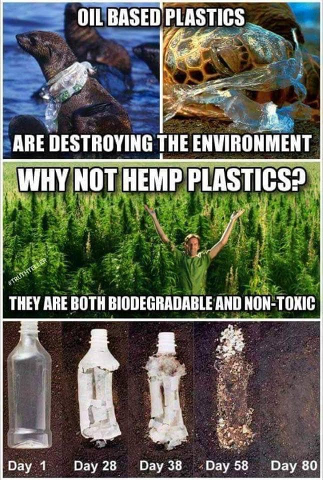 FoundationHemp's tweet photo. #ThursdayThoughts 👇
✅"Using Natural Hemp Plastic is far better than Toxic and Non-Biodegradable Plastic."✅
#Hempclothings #hempoil #hempseeds #organic #hempnews #Rs2 #cbdoil #cbd #organicmedicine #healthylife #hemplifestyle #hempworld #wewanthemp #agriculture #votehemp https://t.co/SjBn21EKyc