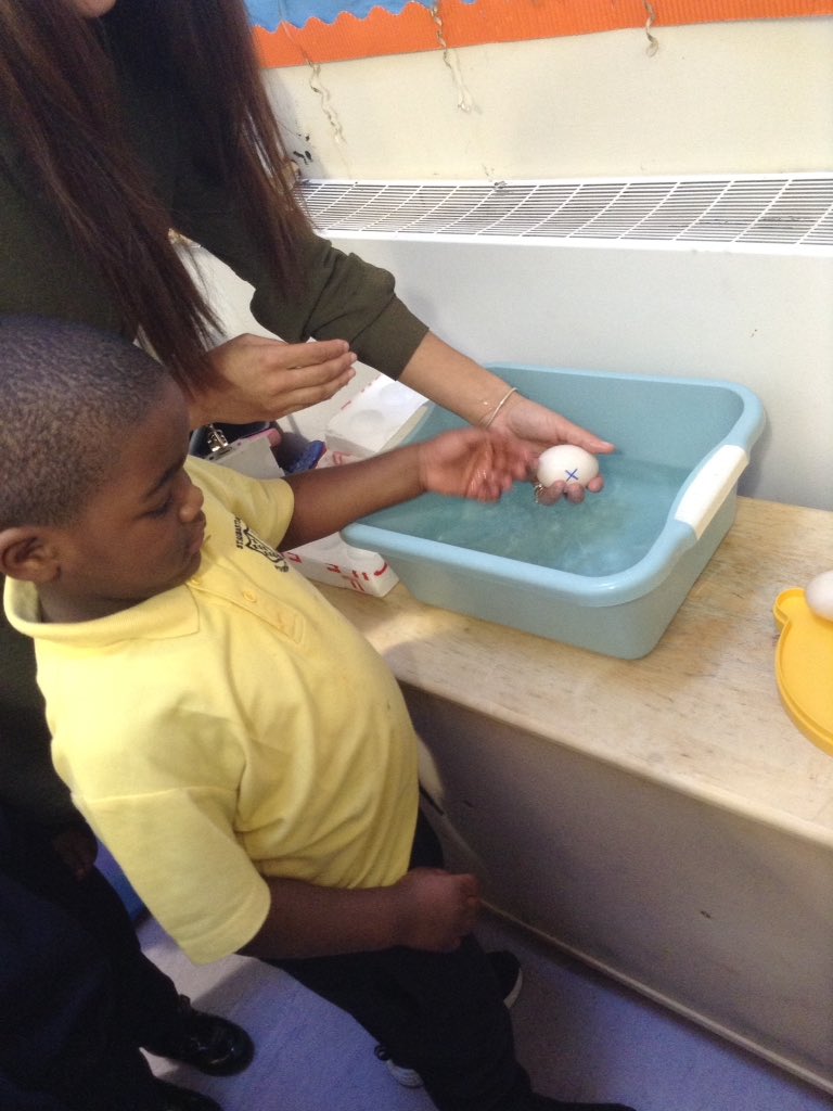 StSebastiansPri's tweet image. In line with our RE topic 'Growing', we will be attempting to hatch our very own ducks in Foundation. The children were very egg-cited to receive a special delivery of 6 duck eggs! We will keep you updated on our ducklings progress! 🐣🐣🐣🐣🐣🐣 #Foundation1 #SebsRE #SebsScience