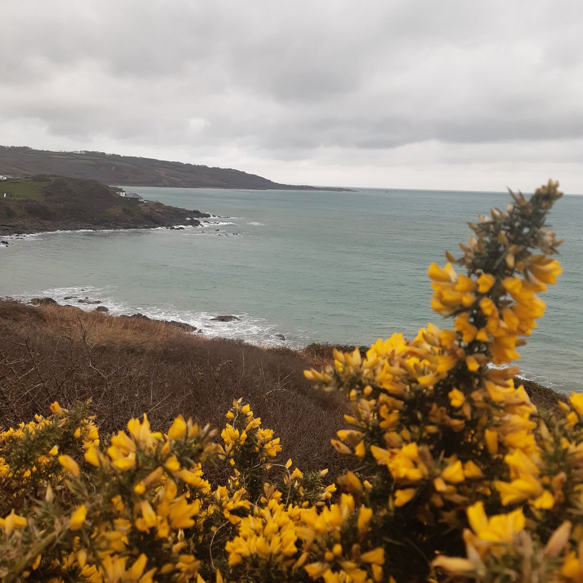 A very happy st Pirans day (gool  Peran) from us @BayhotelC. I feel a pasty coming on! #Cornwall  #Cornish #StPiransDay #StPiran #splann