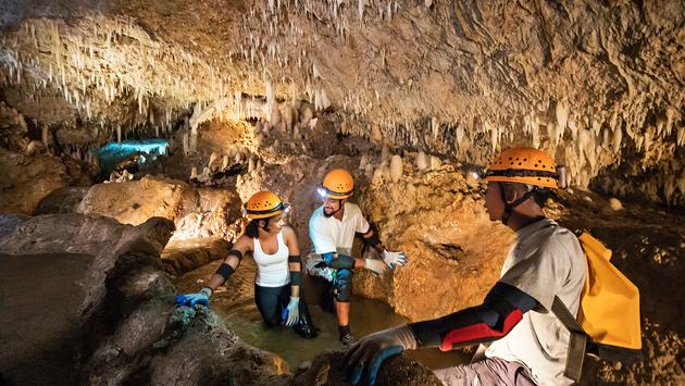 Discover beauty of Harrison's Cave in the heart of Barbados, the parish of St. Thomas. Traverse some of the natural cave passages or take the idyllic tram tour in what can only be described as a once in a lifetime experience. #WeGatherin2020 #ExploreBarbados #SugarBayBarbados