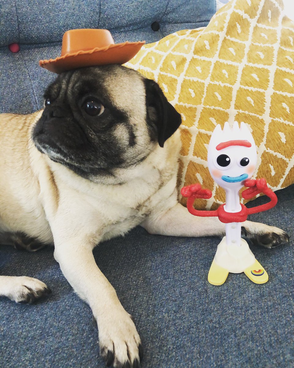 VegasThePug's tweet photo. Happy #WorldBookDay #HowdyHowdyHowdy 🐶 🤠 https://t.co/JFFYFqo4W8