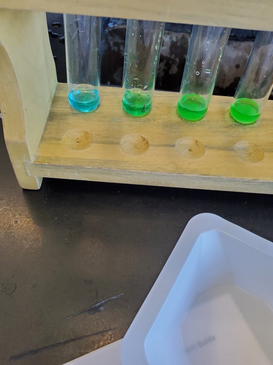 mrsadamski1's tweet photo. #APchemistry students investigating Le Chatelier's principle! #mineolaproud #mineolascience https://t.co/DuyOaG49w2