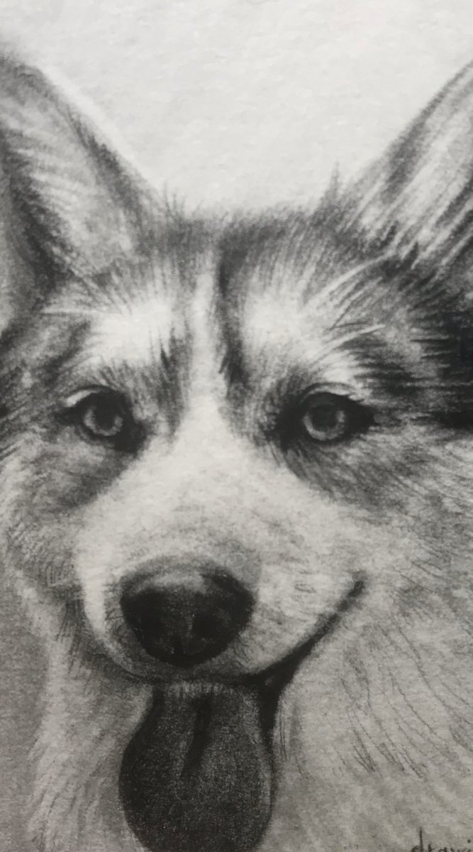 コロコロ屋 一回休み Auf Twitter 一枚目と二枚目が似顔絵用にリアルに描いた鉛筆画で 三枚目と4枚目がでイラストな鉛筆画なんだけど 違いがわからないと言われる イラストは想像で描くから 手足が適当でヌイグルミみたいで輪郭もくっきりで 全然違うー と思い コロコロ屋 一回休み Auf Twitter 一枚目と二枚目が似顔絵用にリアルに描いた鉛筆画で 三枚目と4枚目がでイラストな鉛筆画なんだけど 違いがわからないと言われる イラストは想像で描くから 手足が適当でヌイグルミみたいで輪郭もくっきりで 全然違うー と思い