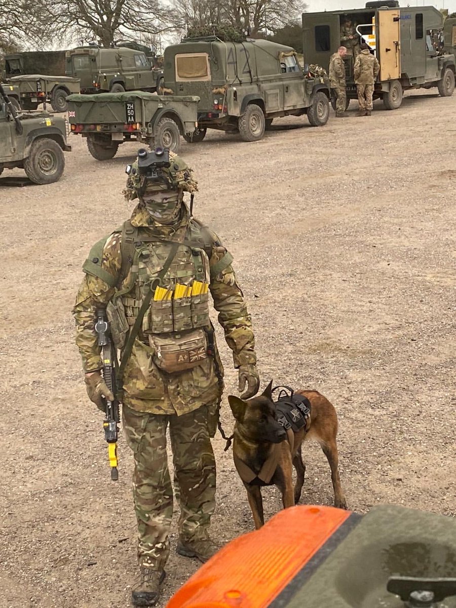 Royal Army Medical Service (@_royal_ams) on Twitter photo Members of <a href="/1MWD_Reg/">1st Military Working Dog Regiment</a> , recently deployed on exercise #WessexStorm. The handlers provided support and educated supporting units on how this capability is best utilised. #ArmyConfidence #ArmyDogHandler @AMSCorpsSM Members of <a href="/1MWD_Reg/">1st Military Working Dog Regiment</a> , recently deployed on exercise #WessexStorm. The handlers provided support and educated supporting units on how this capability is best utilised. #ArmyConfidence #ArmyDogHandler @AMSCorpsSM