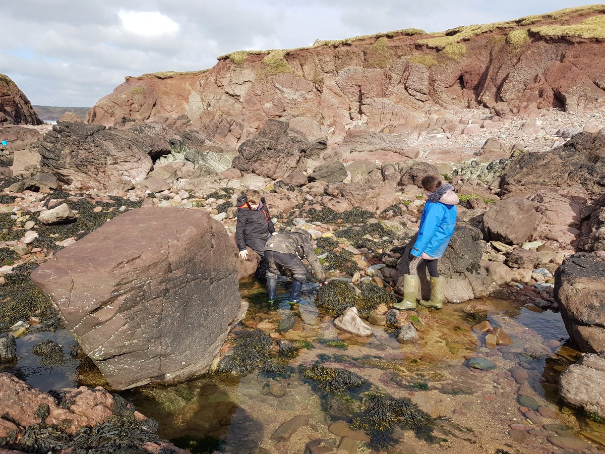 gladstonebarry's tweet photo. #TeamBarnacle going rock pooling #stackpole2020 https://t.co/CRyTxEHp2J