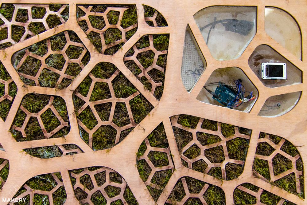 Cristina_IAU tweet media