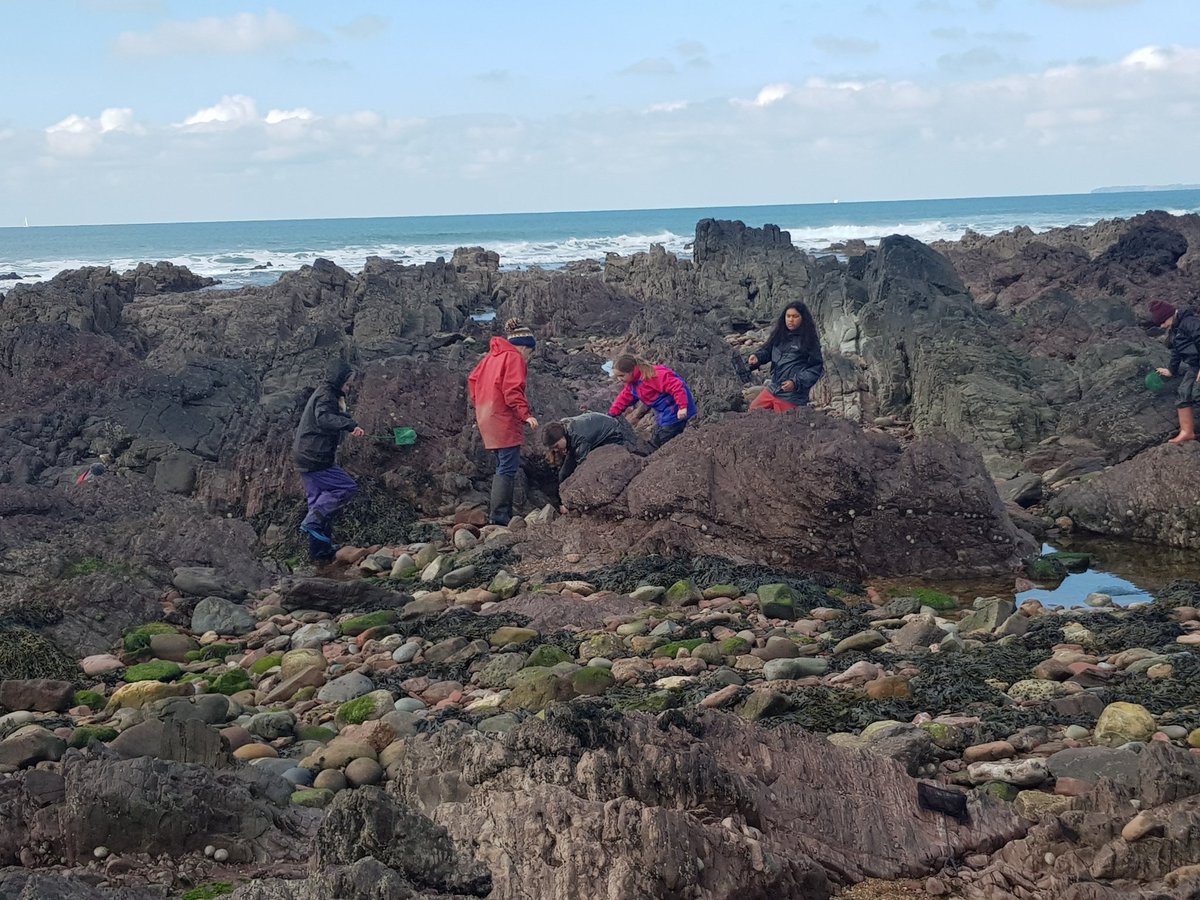 gladstonebarry's tweet photo. #TeamBarnacle going rock pooling #stackpole2020 https://t.co/CRyTxEHp2J