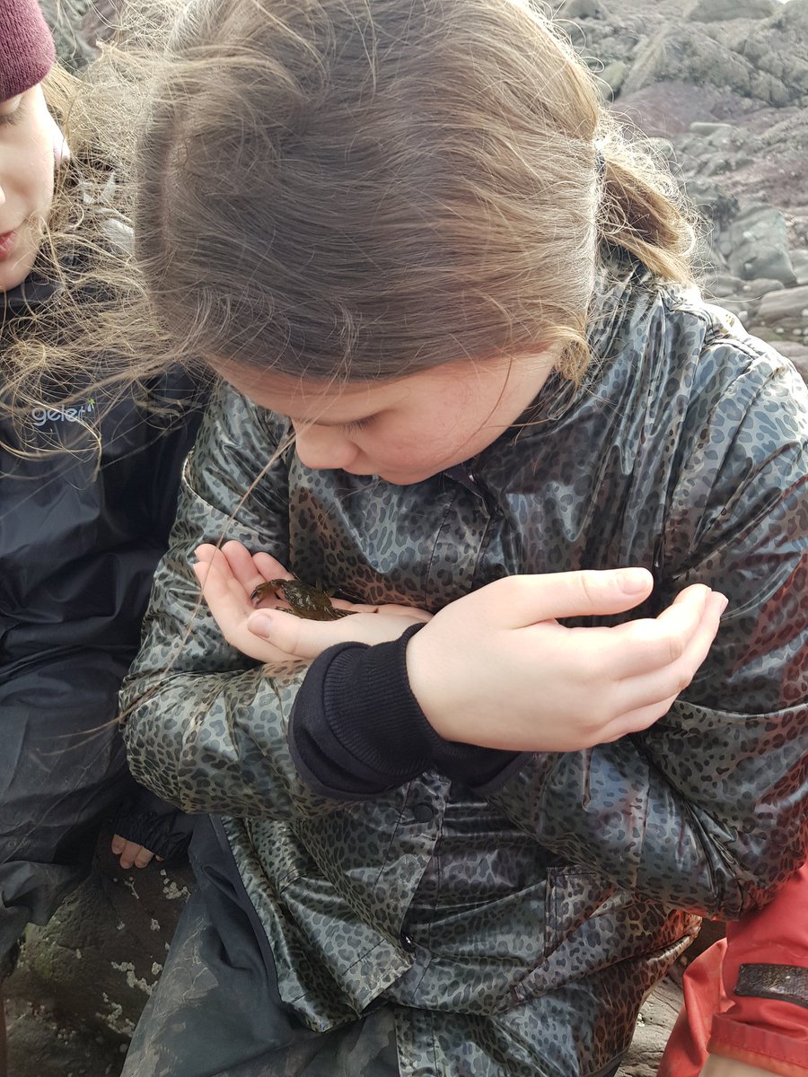 gladstonebarry's tweet photo. Getting to know some of our catches #TeamBarnacle #Stackpole2020 https://t.co/AQdgAzVuKE