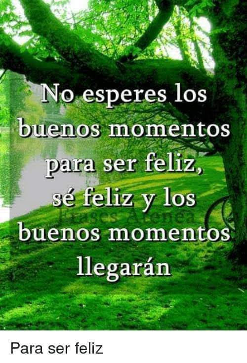 MariaER969 tweet picture