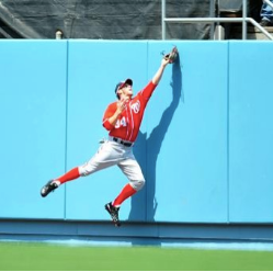 Nets of America tweet media