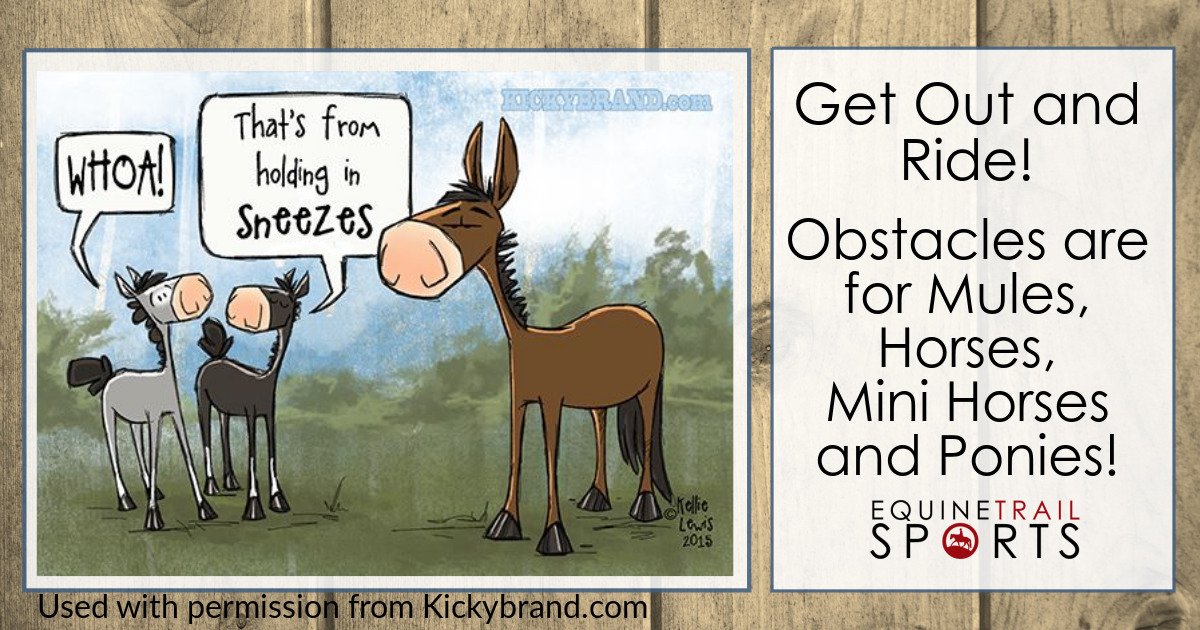 2020 Calendar of Events! equinetrailsports.com/events/
#Getoutandride #Equinetrailsports #obstacles #trailride #competitivetrail