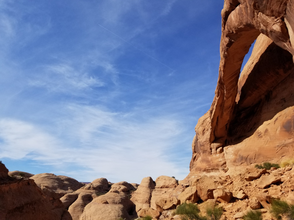 TigerAdmits's tweet photo. Longbow Arch https://t.co/3fy55jESRn https://t.co/W8YxvbFIuO