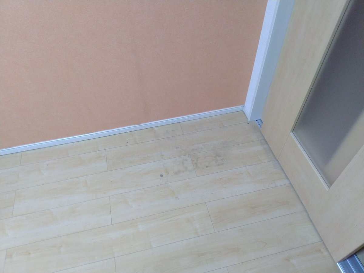 悲しみの大東建託住まい 大東建託の新築アパートに住んで9か月 早くも引っ越しする事となり 家具をどかしたところ 裏側はカビだらけ 家具も 服も大きな被害を受けて使えなくなってしまいました 大東建託 賃貸 アパート