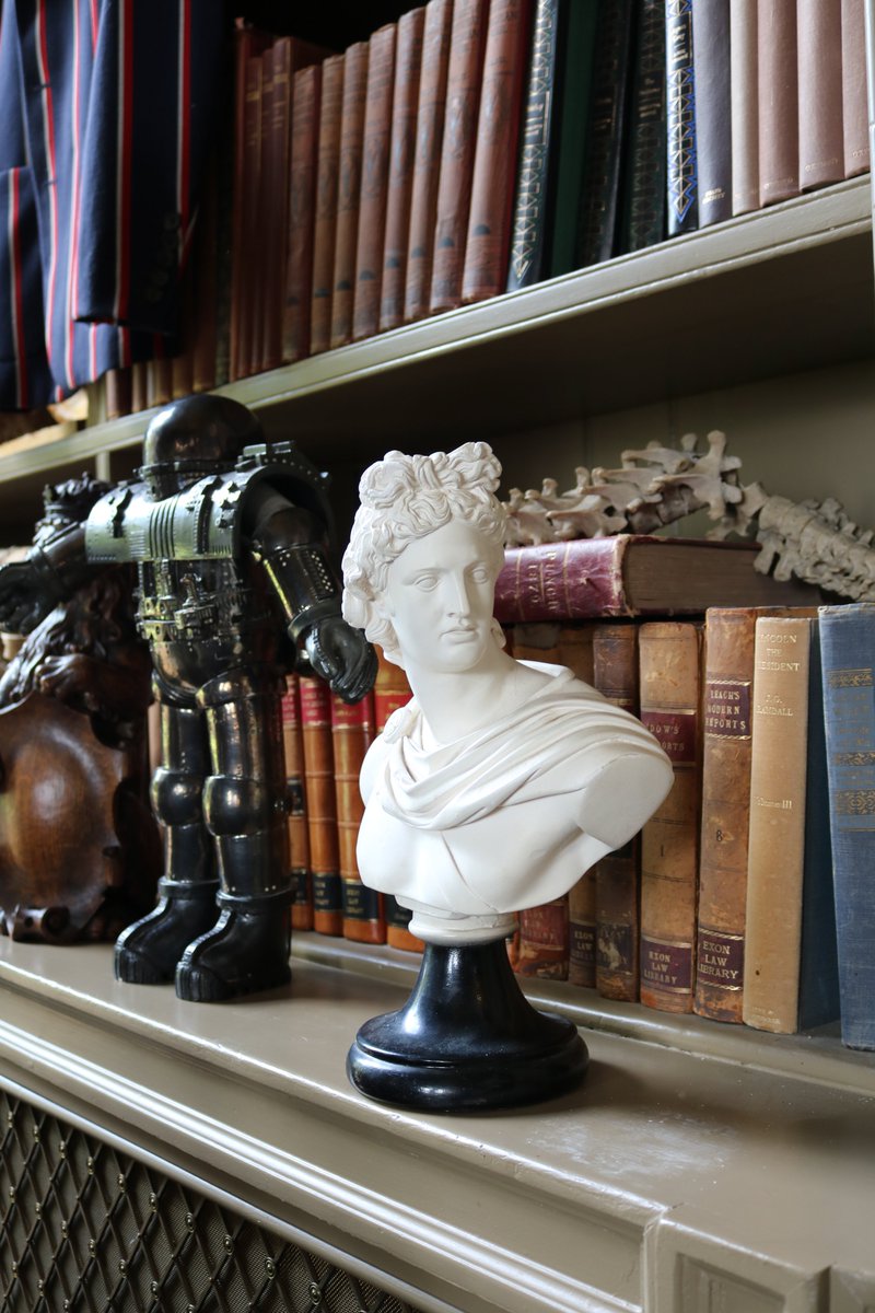 moderngrandtour's tweet image. MARBLE BUST OF APOLLO // The Greek Roman God Apollo son of Zeus &amp;amp; Leto is mounted on a solid black base and is perfect placed on a shelf or bookcase. Shop curiosities on our website amoderngrandtour.com
#amoderngrandtour #aynhoepark #interiors #interiordesign #designer #design