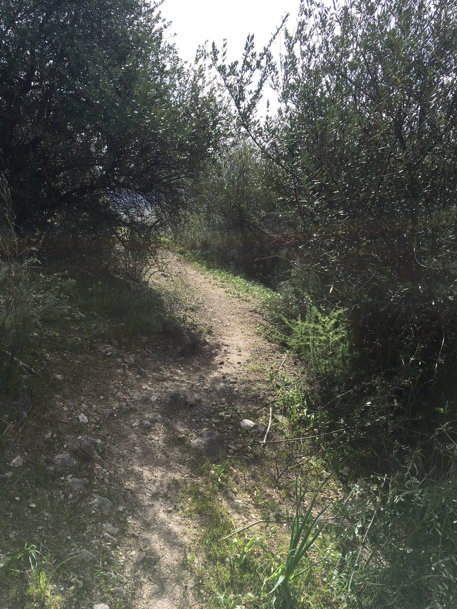 Estáis entrenando duro??? Nosotros seguimos preparando todo para que esté perfecto.
#trail #trailxiipilares #montecorto #montaña #senderos