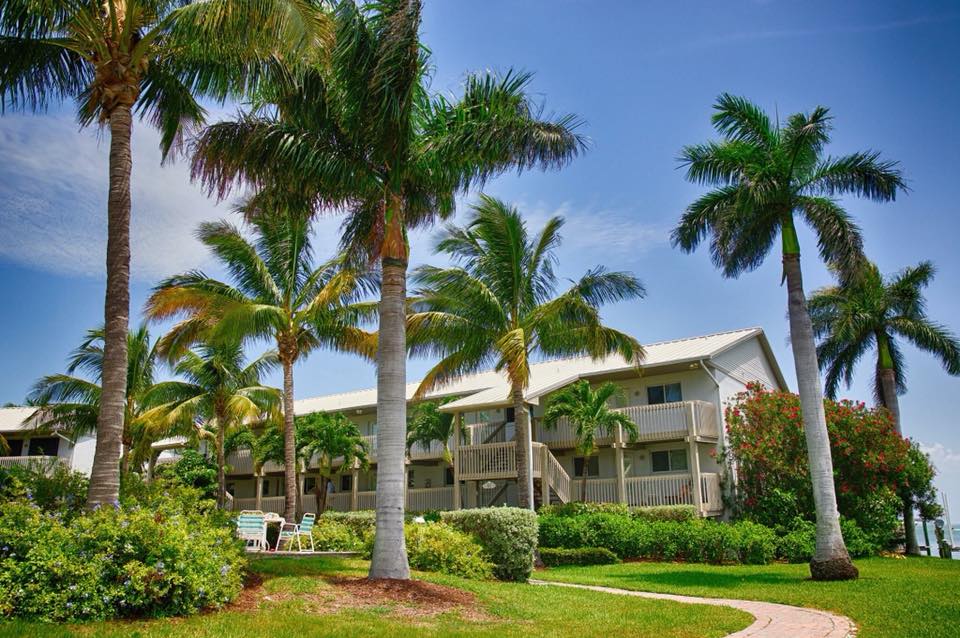 ColaJessice's tweet image. 