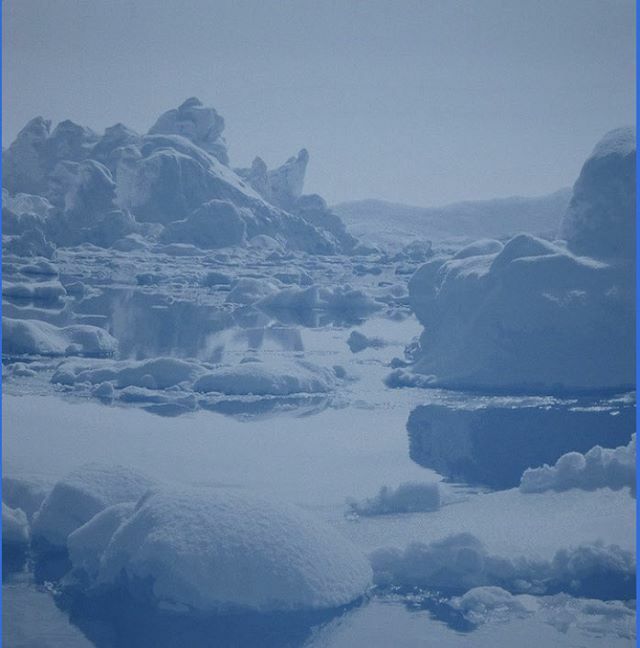 fionamaison's tweet photo. Icebergs is one of several exquisite, new, woven pieces by Sonja Weber in our exhibition BEYOND THE LOOM opening tomorrow. 
#lisanorrisgallery #sonjaweber #wovenjacquard #jacquardloom #textile #painting #photography #wovenstructures #nature #icebergs #to… https://t.co/yDCLDQwm1C https://t.co/bF0xuvLRnl