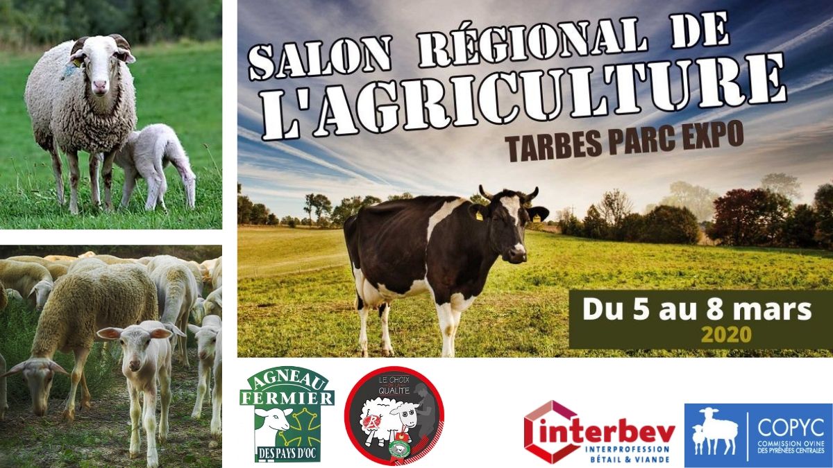 ARTERRIS11's tweet photo. #ovin. @ARTERRIS11 présent avec #COPYC et @Interbev_fr au @SalonAgricultureTarbes du 5 au 8 mars. Mise en avant des productions ovines #Bio et #Label rouge de qualité : Agneau #AgneauFermierdesPaysDOc et #SelectiondesBergers. @reussirpatre @lacoopagricole https://t.co/kQz6u5HjvI https://t.co/jUC8aPCOPV