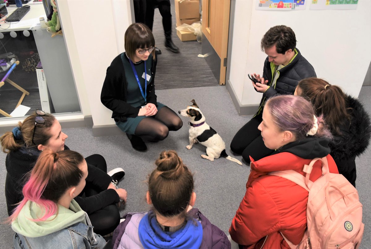 UCWeston's tweet photo. We celebrated #UniMentalHealthDay today with planting, chats over coffee and cookies, a building resilience workshop and other de-stressing activities - including playing catch with Paddy the dog 🌻🍪☕️🐶

Don't forget that our HEART student welfare team is always there for you! https://t.co/u0ipqedPqv
