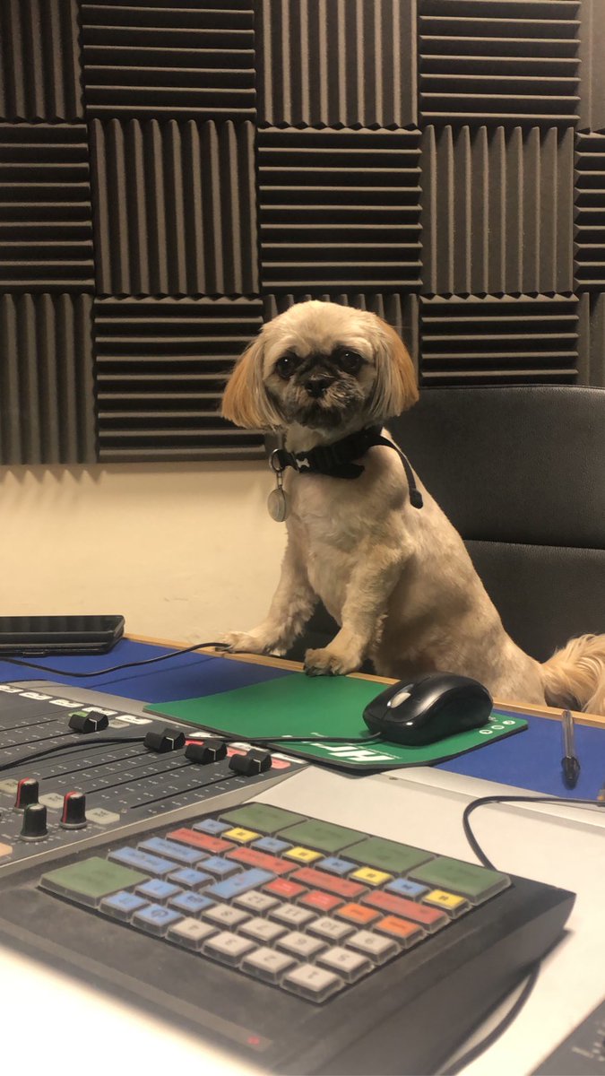 HospitalRadioReading (@hrreading) on Twitter photo FINALLY! Producer Gerard has been replaced by Producer Rosie! Rosie's hobbies include: Walking, Being a DJ and enjoying roast chicken!
@SawyerGB <a href="/RocksGerard/">Gerard Rocks</a> <a href="/MattRolland93/">Matthew Rolland</a> <a href="/rhodders/">Rhodri Buttrick</a> <a href="/tobytarrant/">Toby Tarrant</a> <a href="/james_patey/">James Patey</a> FINALLY! Producer Gerard has been replaced by Producer Rosie! Rosie's hobbies include: Walking, Being a DJ and enjoying roast chicken!
@SawyerGB <a href="/RocksGerard/">Gerard Rocks</a> <a href="/MattRolland93/">Matthew Rolland</a> <a href="/rhodders/">Rhodri Buttrick</a> <a href="/tobytarrant/">Toby Tarrant</a> <a href="/james_patey/">James Patey</a>