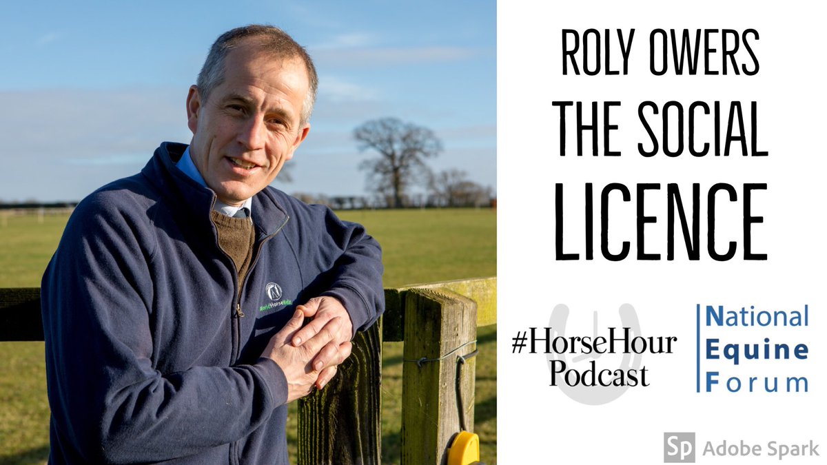 #HorseHour tweet media