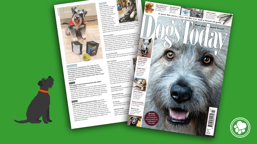 cobbydogdogfood's tweet photo. We're very excited to be featured in @Dogs_Today! Make sure you give it a read and find out how much #DogsToday loved our Fish Supper #ColdPressedDogFood with added TurmerAid™ and Grain Free Salmon & Sweet Potato. https://t.co/YHMjqoX2DJ https://t.co/qJrzN9ICX7