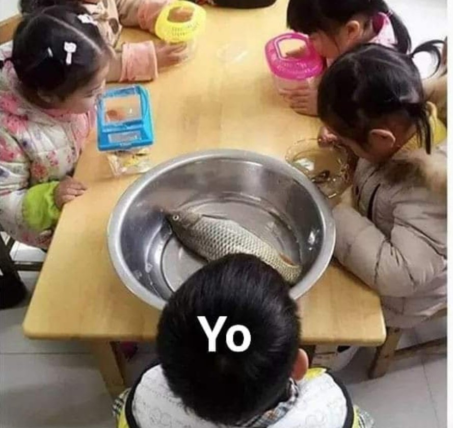cabal_tupisto's tweet photo. El día de mañana tienen que traer un pez. https://t.co/rO4u86lx0W