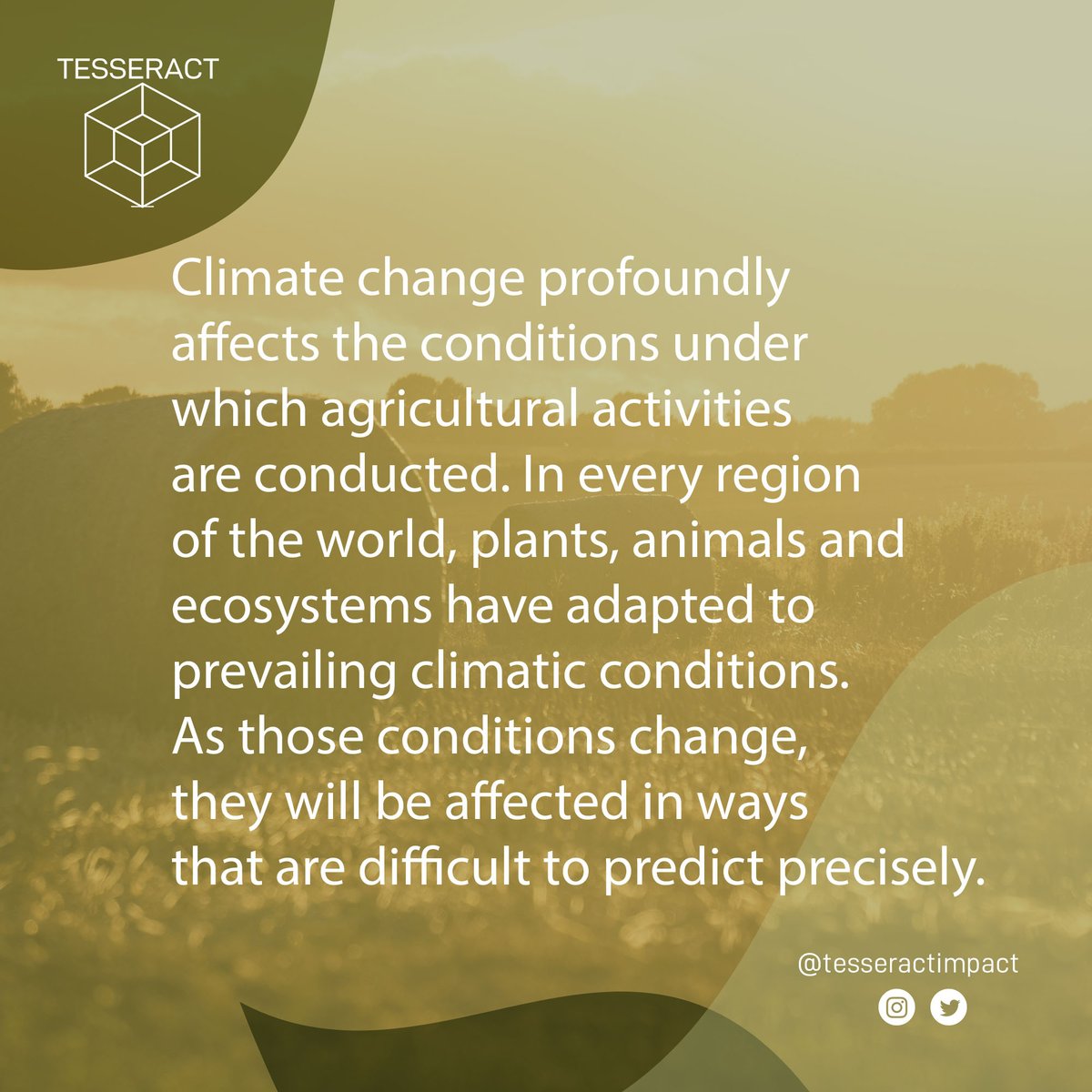 tesseractimpact's tweet photo. #Climatechange profoundly affects the conditions under which #agricultural activities are conducted. In every region of the world, plants, animals and ecosystems have adapted to prevailing climatic conditions. They will be affected in ways that are difficult to predict precisely. https://t.co/dzJ9RFPOFe