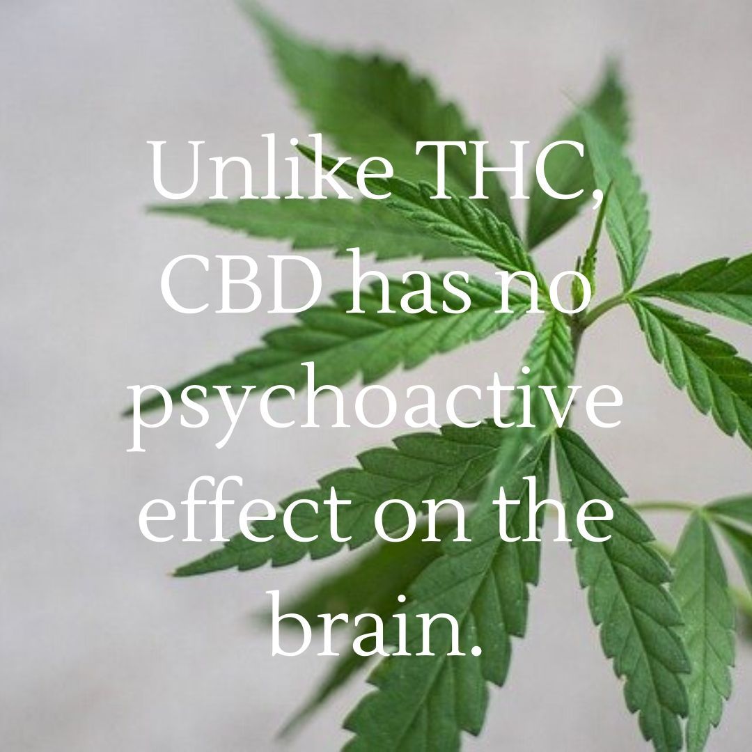 gscreenldn's tweet photo. "Unlike THC, CBD has no psychoactive effect on the brain." #cbd #cbdhealth https://t.co/FcfE3LBQsE