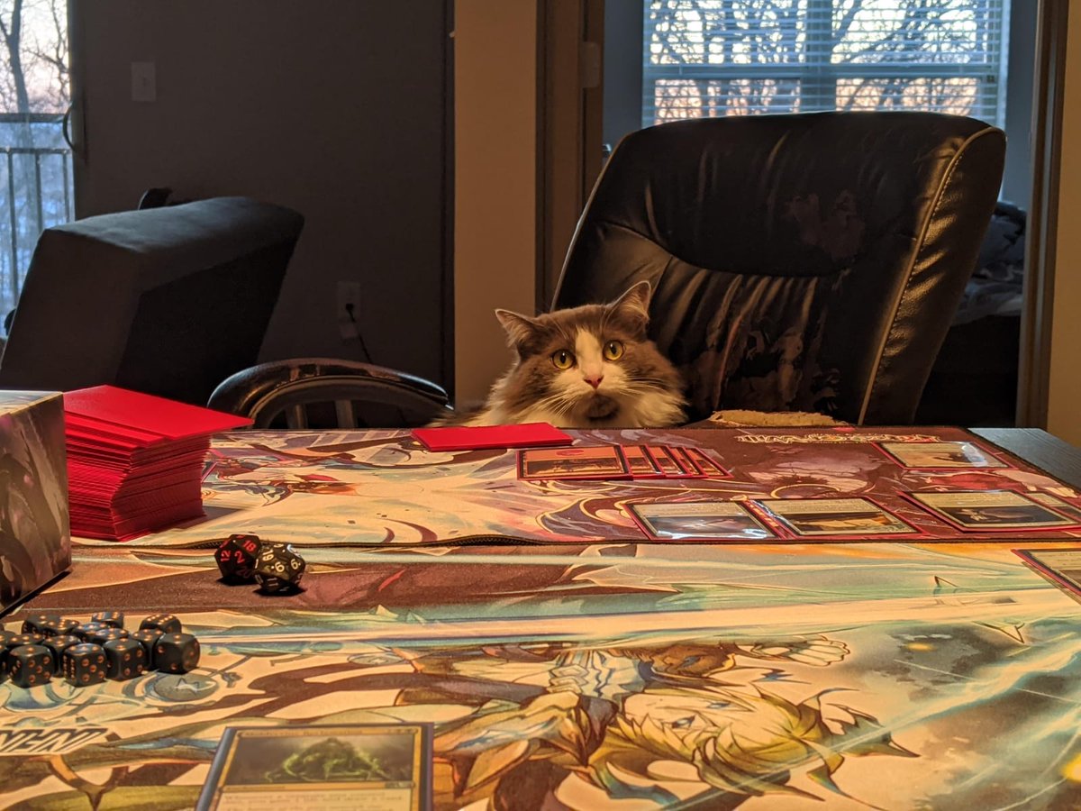 tengochichi's tweet photo. You stand no chance against me, human! @wizards_magic @ArahboTheRoar @MulliganUno #edh #commander #basiclands https://t.co/JpcgFksliv