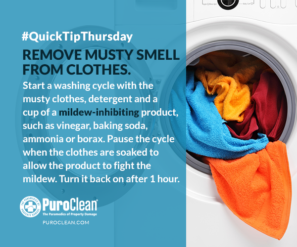 #QuickTipThursday: how to remove musty smell from clothes in your washing machine