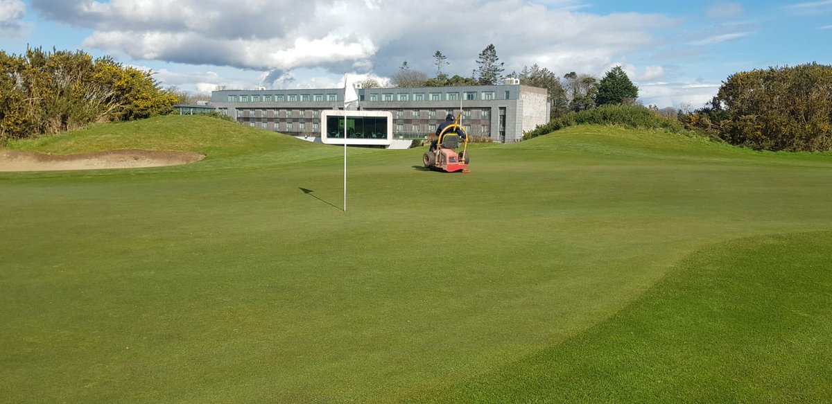 CastlemartyrLGC tweet media