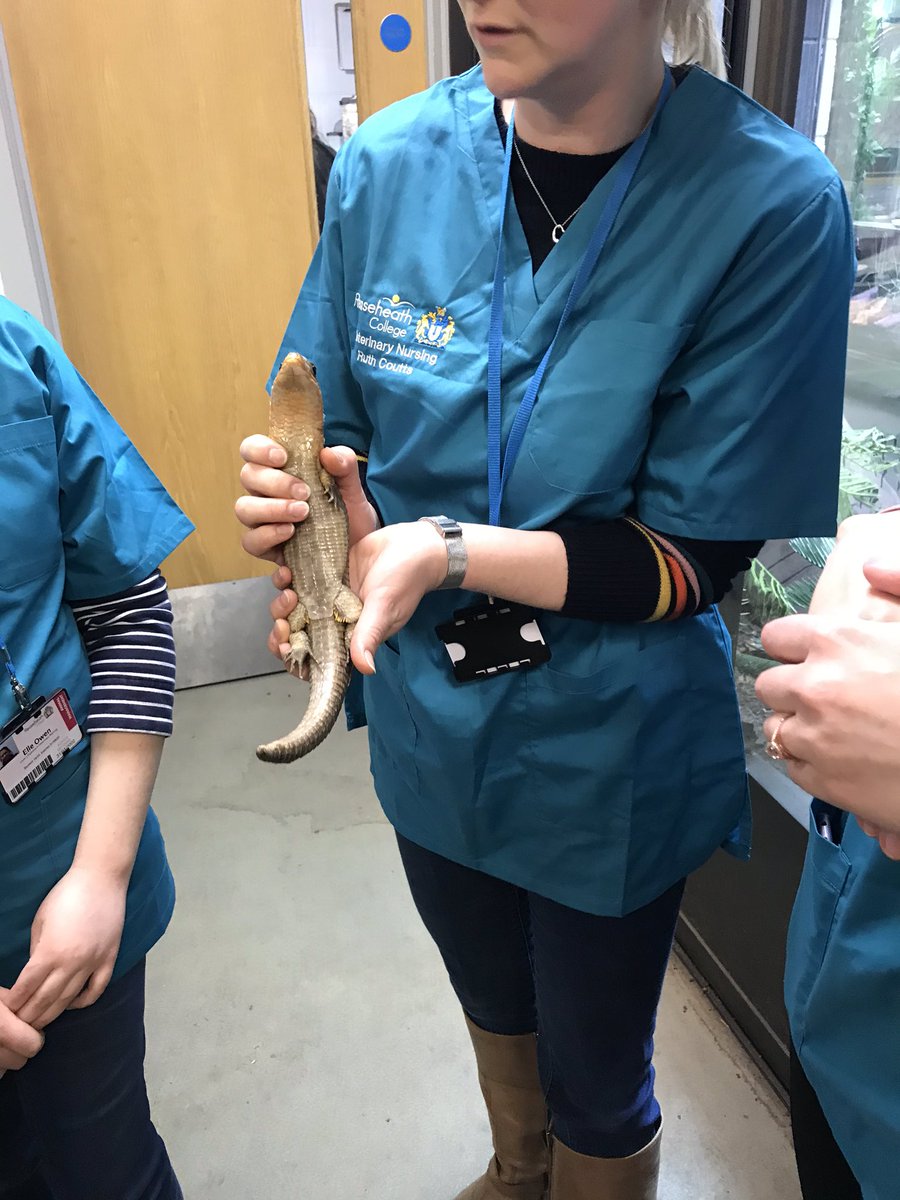 RHC_VetNursing's tweet photo. Practical experience of Handling & Restraint of exotics for our #VetNursing students today at our very own @ReaseheathZoo ππ¦π’ #ReaseheathVetNursing https://t.co/9SjlEq0Spo