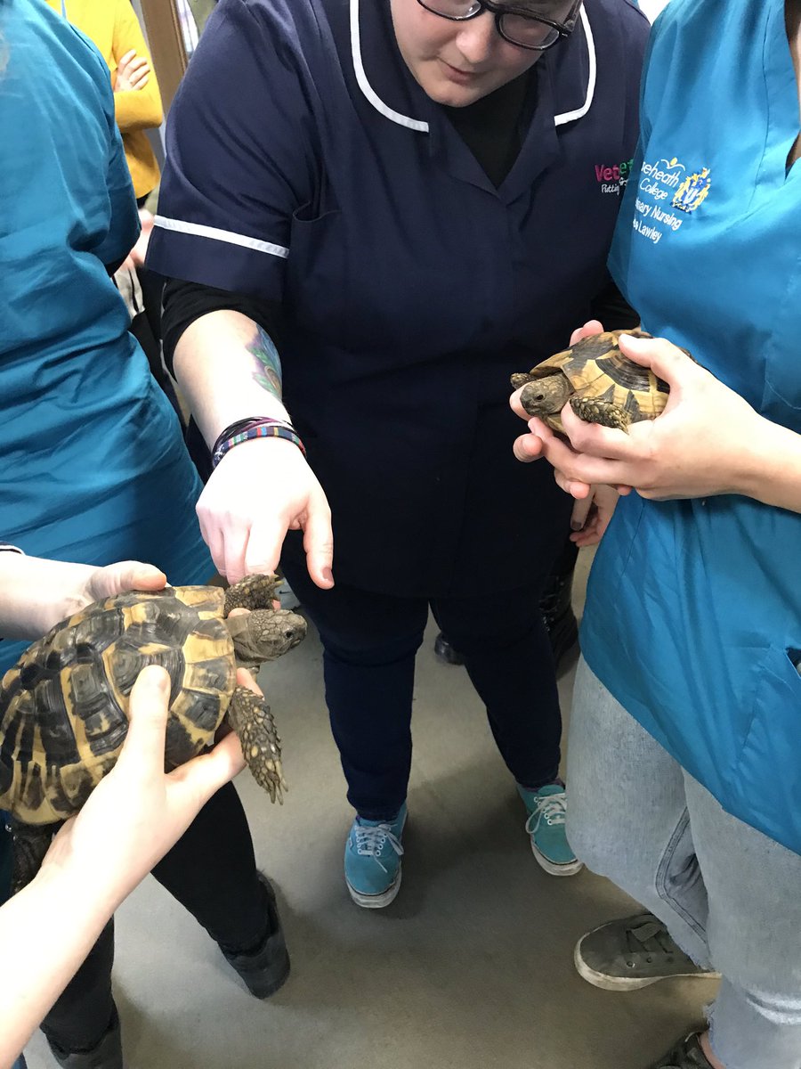RHC_VetNursing's tweet photo. Practical experience of Handling & Restraint of exotics for our #VetNursing students today at our very own @ReaseheathZoo ππ¦π’ #ReaseheathVetNursing https://t.co/9SjlEq0Spo