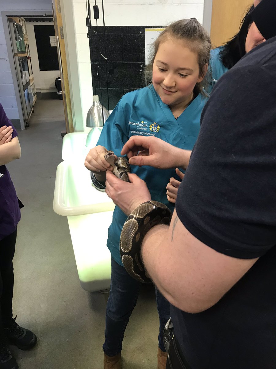RHC_VetNursing's tweet photo. Practical experience of Handling & Restraint of exotics for our #VetNursing students today at our very own @ReaseheathZoo ππ¦π’ #ReaseheathVetNursing https://t.co/9SjlEq0Spo