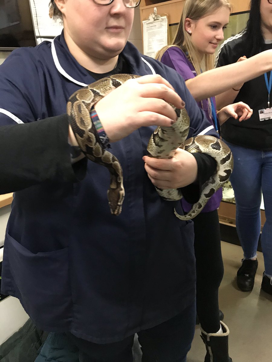 RHC_VetNursing's tweet photo. Practical experience of Handling & Restraint of exotics for our #VetNursing students today at our very own @ReaseheathZoo ππ¦π’ #ReaseheathVetNursing https://t.co/9SjlEq0Spo