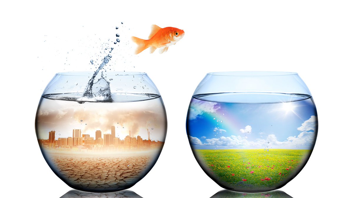 Grantham_IC's tweet photo. "It’s really about an entire system. Thinking about how to address pollution at source and understanding the impact of it in the whole life cycle"
@imperialcollege's Prof Mary Ryan on the #ImperialZeroPollution initiative:
https://t.co/vrShjF8Lrw https://t.co/Ur7UuNhhk7