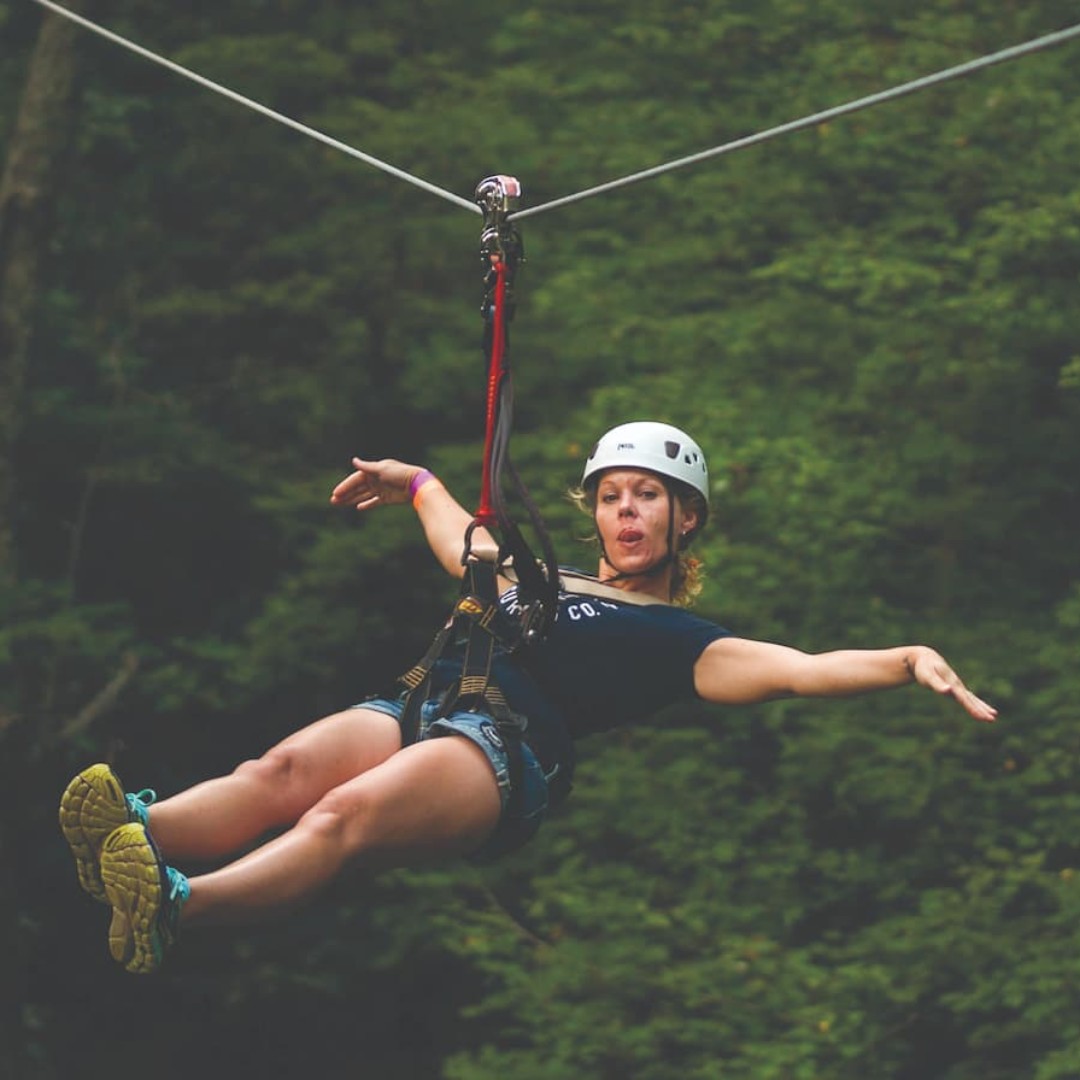 HighGravityAdventure tweet media