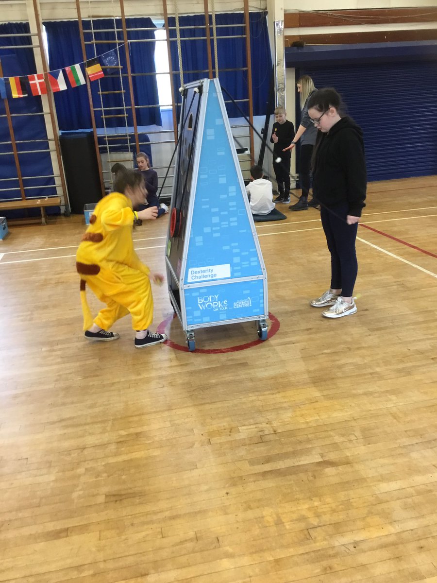neilston_madras's tweet photo. P7a are exploring the Body Works on Tour Exhibit 🧠 ❤️ 🎾 🏃♀️ 💪 They are testing their coordination, mental and physical strength! We can’t believe the @gsc1 have came to school! #howourbodieswork @NeilstonPTA #STEM #scienceatschool https://t.co/Ge9oS9ZlFM